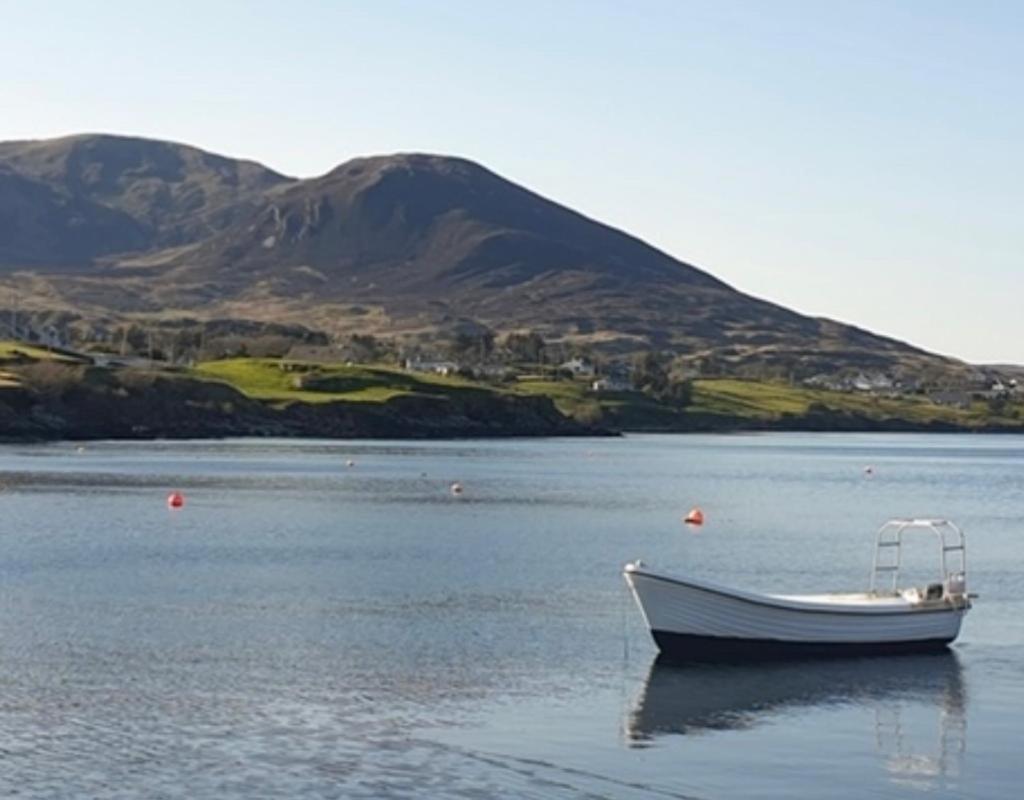 Bed & Breakfast Slieve League House 3*